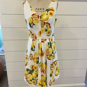 Banana Republic Fit and Flare Lemon Print Dress